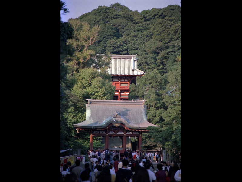 Ingresso al Santuario Tsurugaoka Hachiman