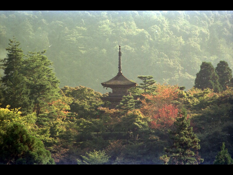 Vista del Kjyomizu Temple