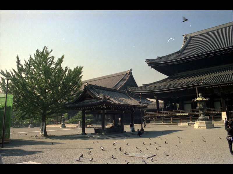 Fontana purificatrice rappresentante un drago nel tempio Higashi Honganji