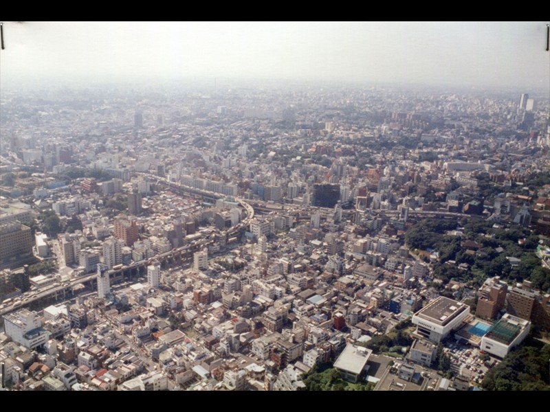 Tokyo vista dalla Tokyo Tower