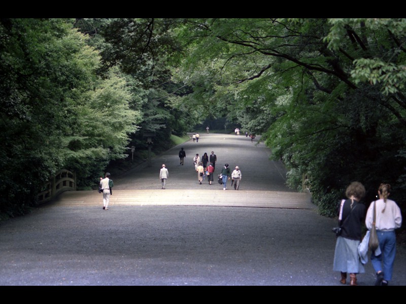 Il viale del parco Otori