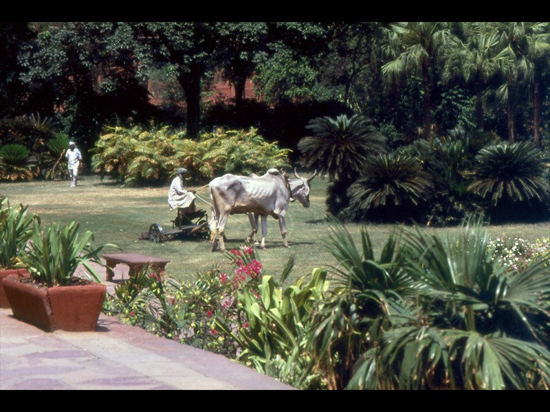 Un uomo cura il prato del giardino con modernissimi mezzi di giardinaggio