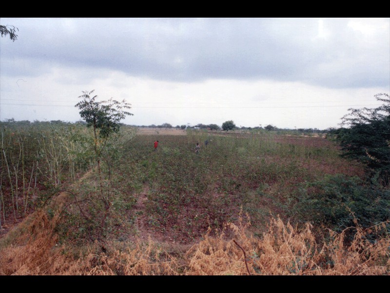 Tamil Nadu