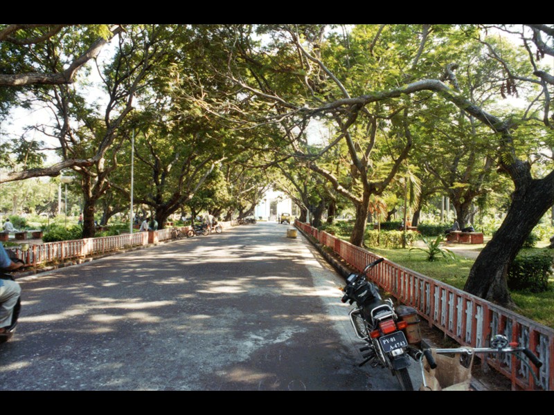 Giardino botanico