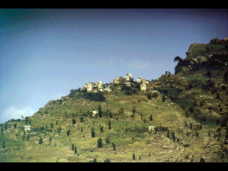 309-setttembre-95-yemen