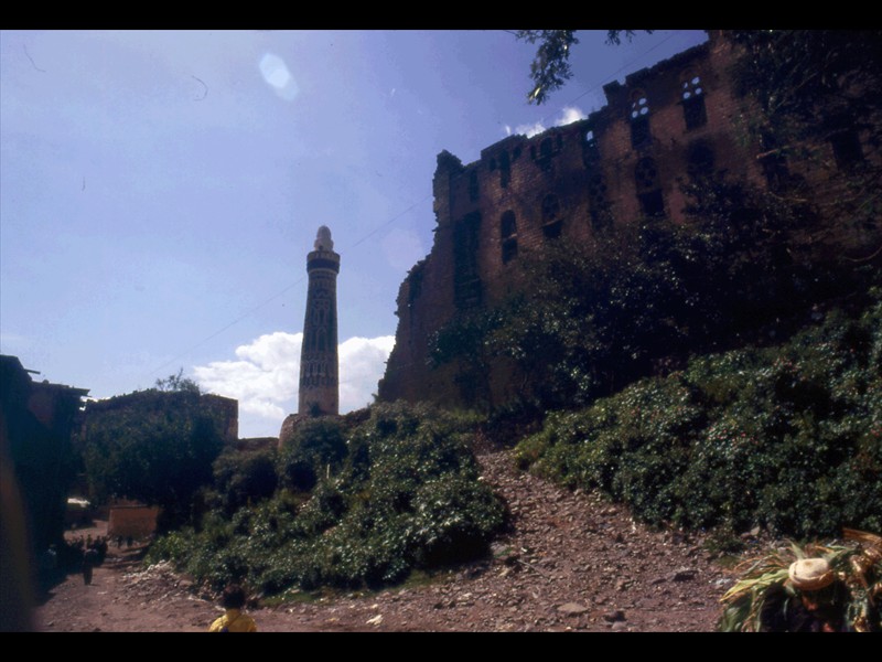 Il minareto della moschea